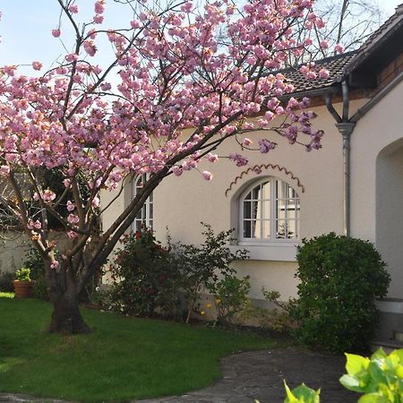 Maison D'Hotes Paris Riverside Saint-Maur-des-Fossés Exteriör bild